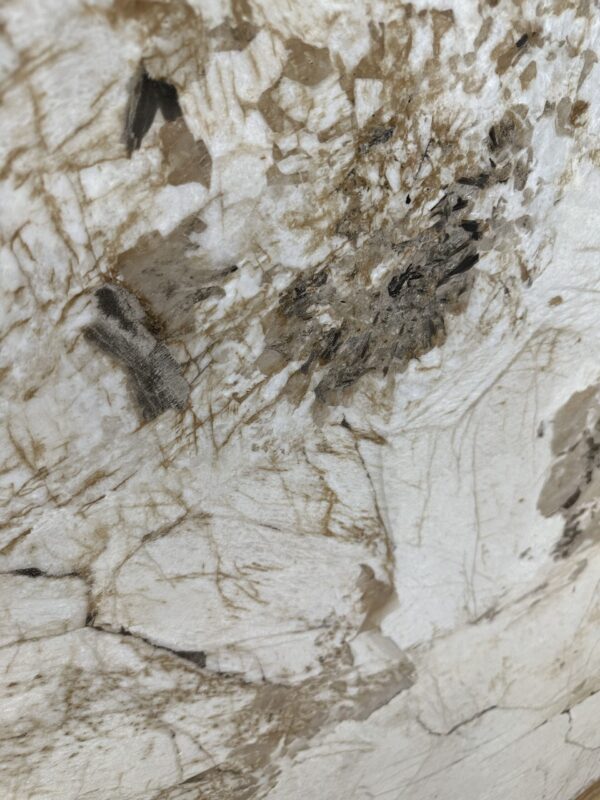 Lámina UV - SKU 8045B - Imagen 3